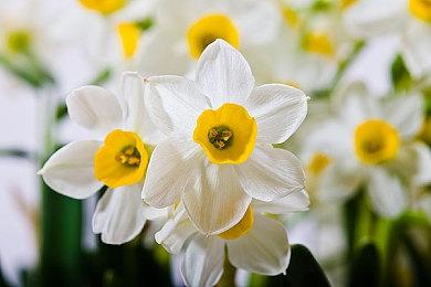 《红霞岛》QuakeCon开发者解说视频发布